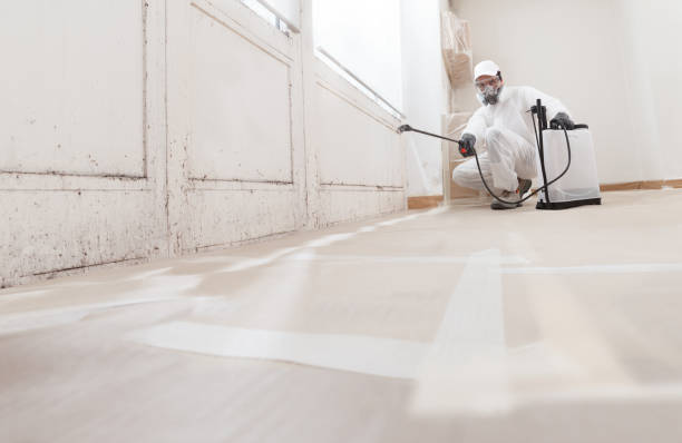 24/7 Emergency Mold Cleanup experts in Lewisburg, TN